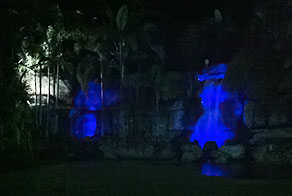 Kershaw Gardens Waterfall